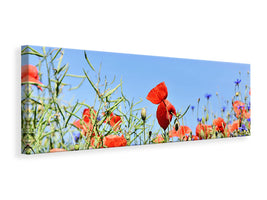 3-piece-canvas-print-the-poppy-in-the-flower-meadow