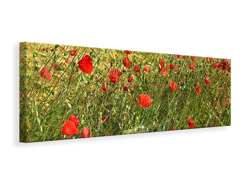 modern-4-piece-canvas-print-the-poppy-in-the-wind
