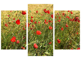 3-piece-canvas-print-the-poppy-in-the-wind