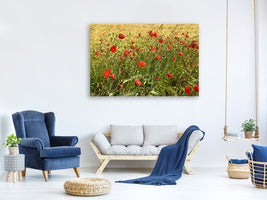 3-piece-canvas-print-the-poppy-in-the-wind