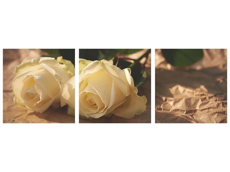 panoramic-canvas-print-the-purity-of-the-roses