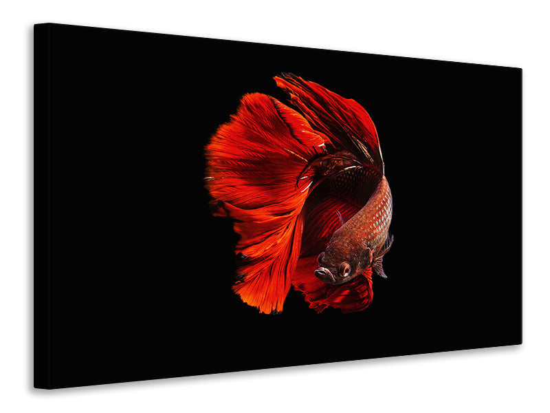5-piece-canvas-print-the-red