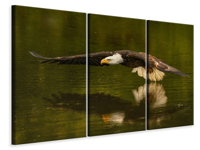 panoramic-3-piece-canvas-print-the-reflective-pond