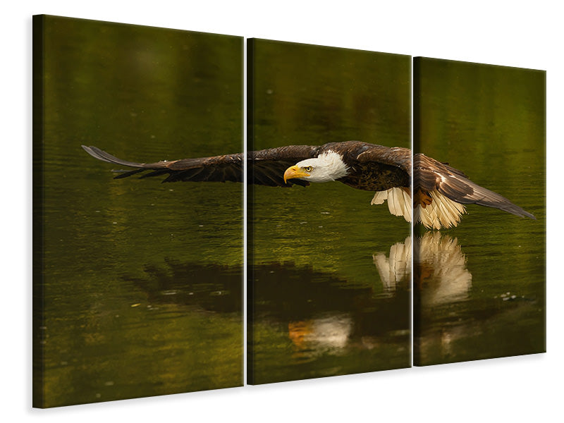 4-piece-canvas-print-the-reflective-pond