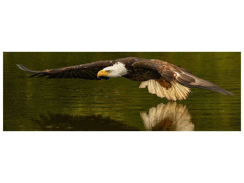 panoramic-3-piece-canvas-print-the-reflective-pond