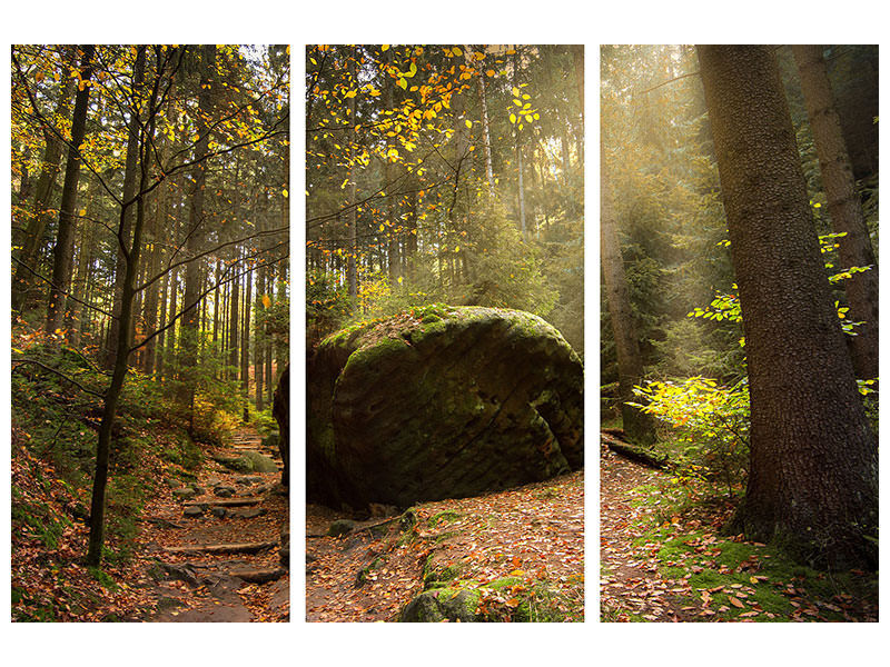 modern-4-piece-canvas-print-the-rock-in-the-forest