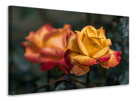 3-piece-canvas-print-the-rose-in-the-garden