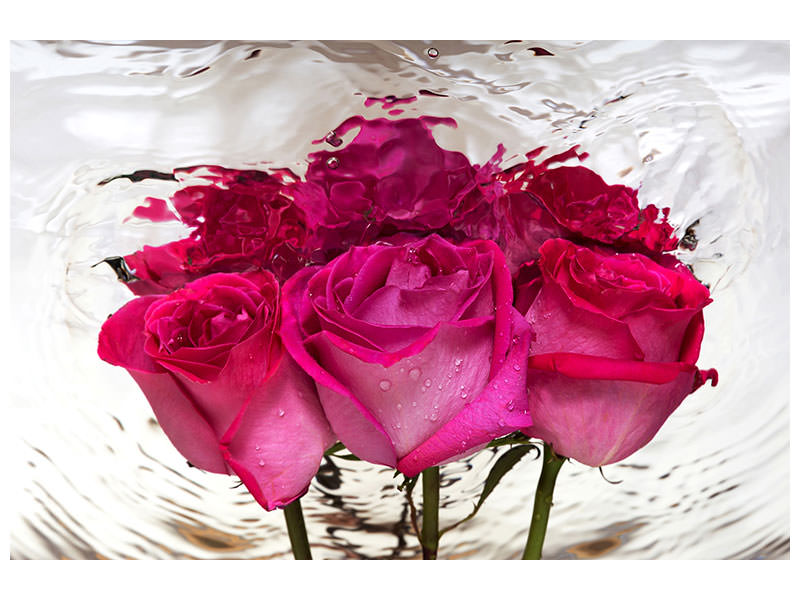 modern-3-piece-canvas-print-the-rose-reflection