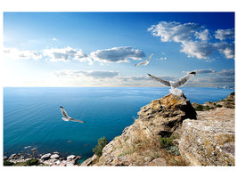 modern-4-piece-canvas-print-the-seagulls-and-the-sea