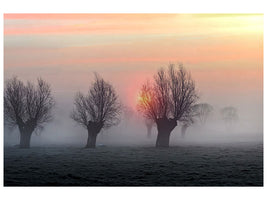 4-piece-canvas-print-the-shadow-of-time