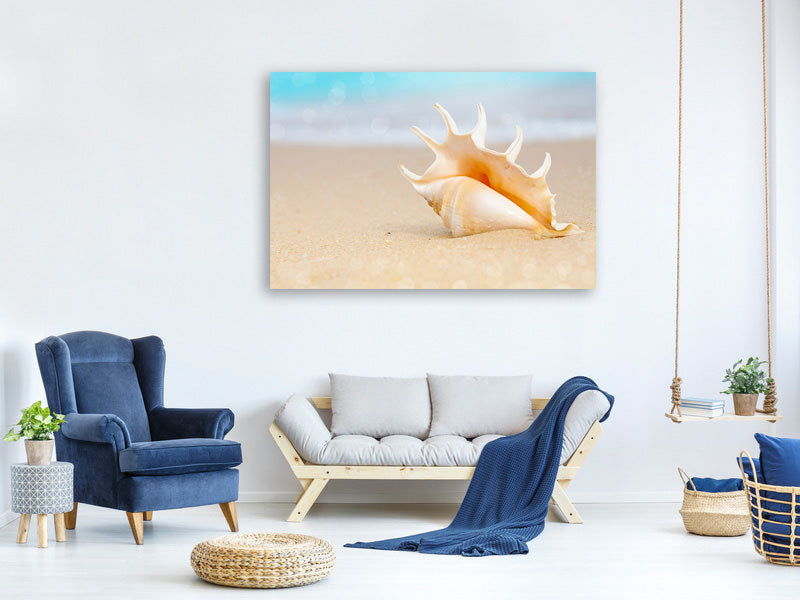 3-piece-canvas-print-the-shell-on-the-beach