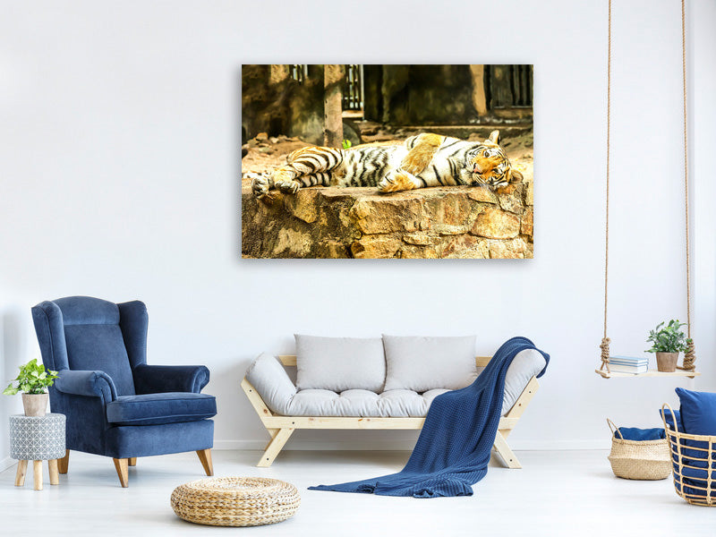 3-piece-canvas-print-the-siberian-tiger