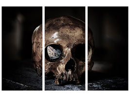 canvas-print-the-skull
