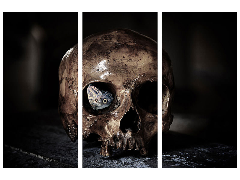 canvas-print-the-skull