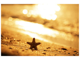 4-piece-canvas-print-the-starfish