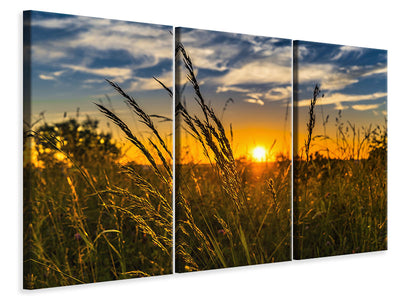canvas-print-the-sunset-on-the-field