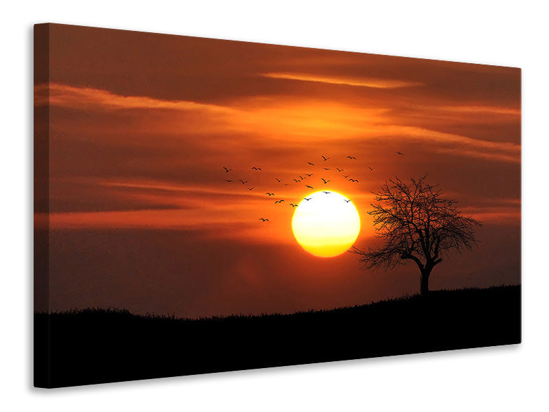 5-piece-canvas-print-the-sunset-on-the-horizon