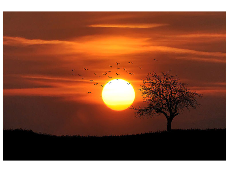 3-piece-canvas-print-the-sunset-on-the-horizon