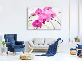 5-piece-canvas-print-the-symbol-of-orchid