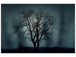 5-piece-canvas-print-the-tree-in-darkness