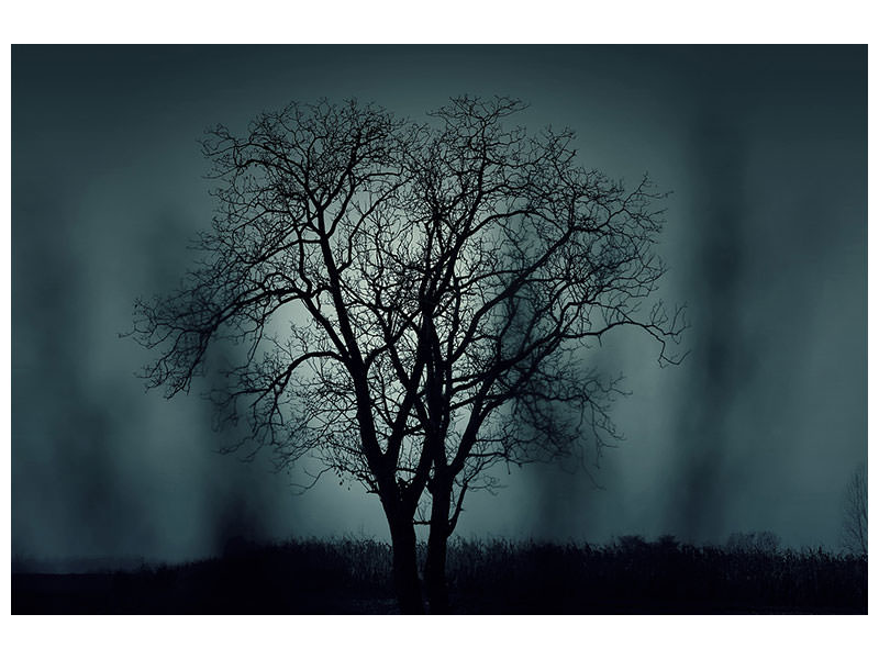 modern-3-piece-canvas-print-the-tree-in-darkness
