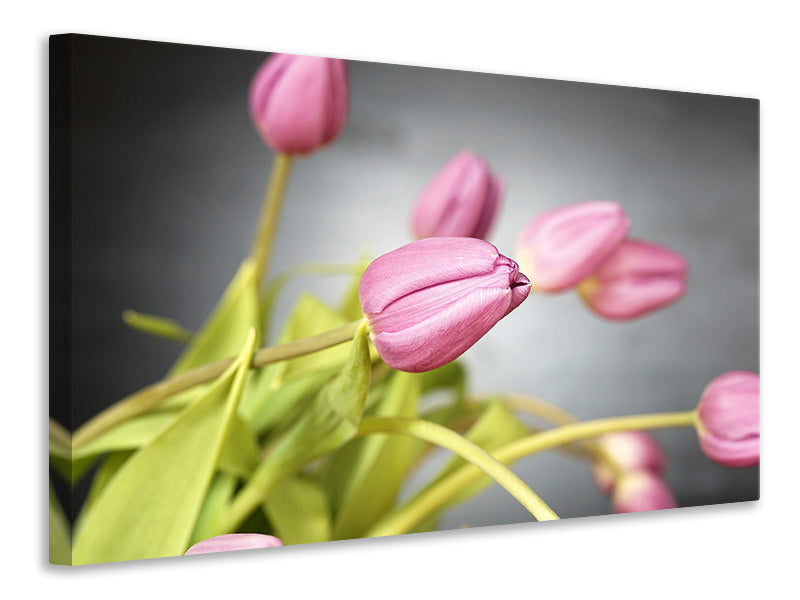 3-piece-canvas-print-the-tulip-bouquet-in-pink