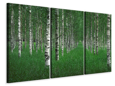 canvas-print-the-tunnel
