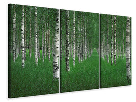 modern-3-piece-canvas-print-the-tunnel