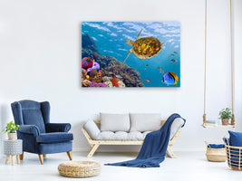 3-piece-canvas-print-the-turtle