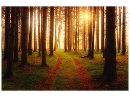 3-piece-canvas-print-the-unknown-way