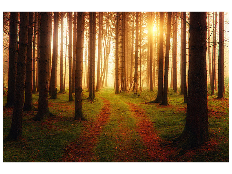3-piece-canvas-print-the-unknown-way