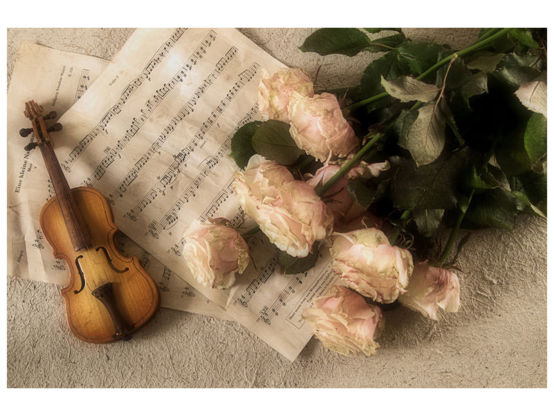 3-piece-canvas-print-the-violin