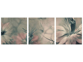 5-piece-canvas-print-the-virgins-ll