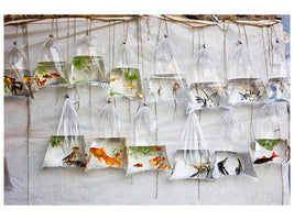 modern-3-piece-canvas-print-the-wall-of-fish
