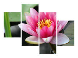 canvas-print-the-water-lily-in-pink