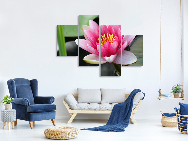 canvas-print-the-water-lily-in-pink