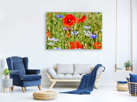 3-piece-canvas-print-the-wild-poppy-xl