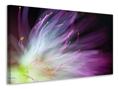 panoramic-canvas-print-the-will-o-the-wisp