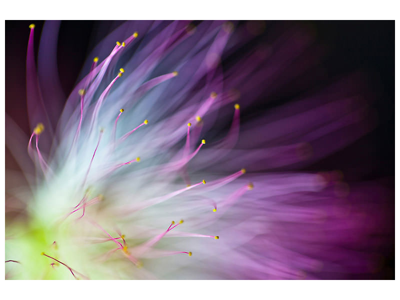 modern-3-piece-canvas-print-the-will-o-the-wisp