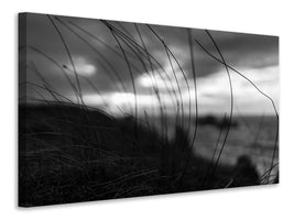 modern-3-piece-canvas-print-the-wind-brings-the-night