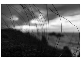 panoramic-3-piece-canvas-print-the-wind-brings-the-night