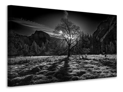 4-piece-canvas-print-the-winter-spirit