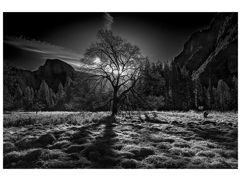 modern-4-piece-canvas-print-the-winter-spirit