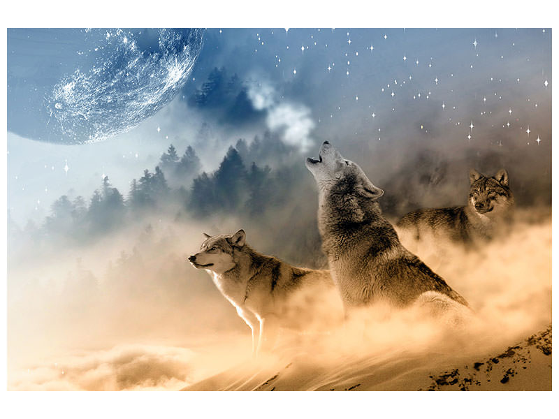 3-piece-canvas-print-the-world-of-wolves