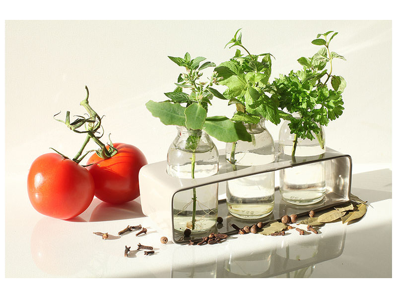 modern-4-piece-canvas-print-tomatoes-and-herbs