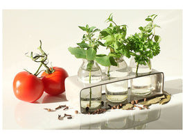 modern-3-piece-canvas-print-tomatoes-and-herbs