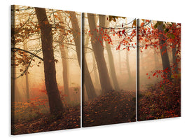 modern-3-piece-canvas-print-towards-the-light