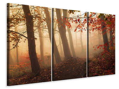 modern-3-piece-canvas-print-towards-the-light