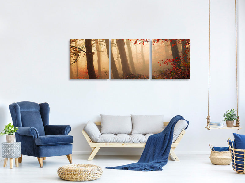modern-4-piece-canvas-print-towards-the-light