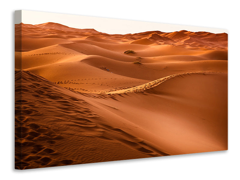 4-piece-canvas-print-traces-in-the-desert